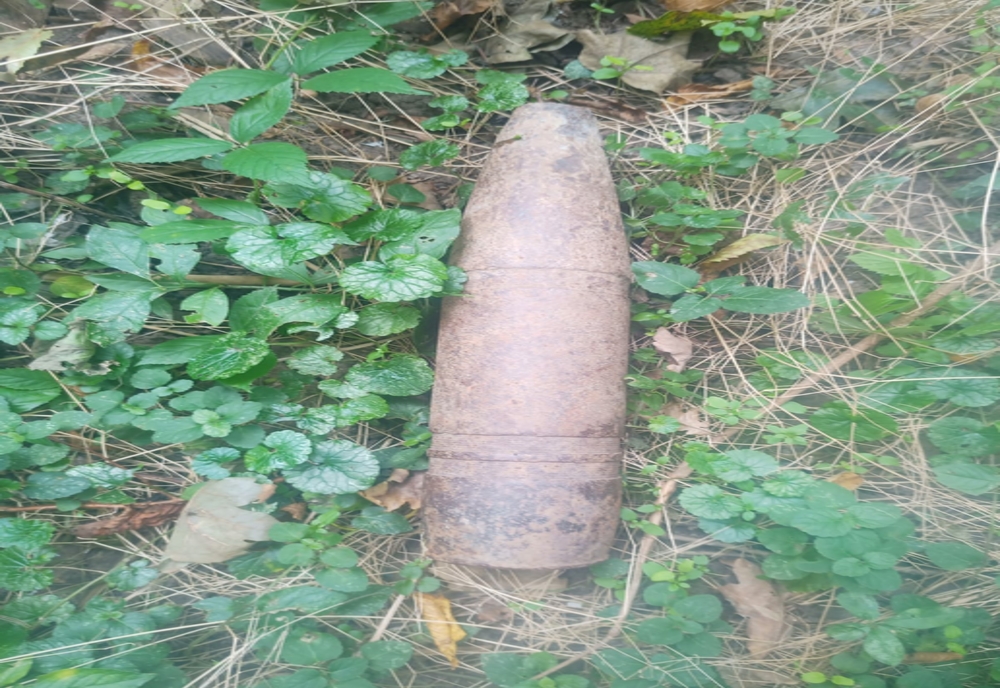 Ce a descoperit un adolescent într-o pădure din Neamț