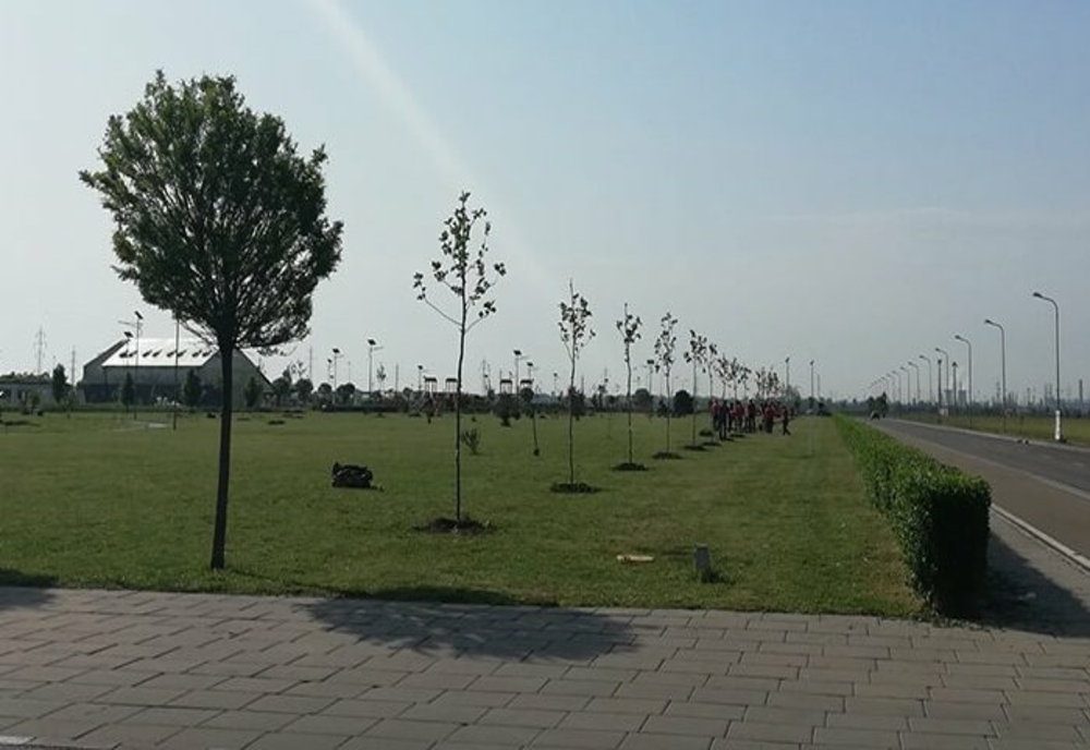 Controale în Prahova, privind suprafețele de spații verzi din mediul urban