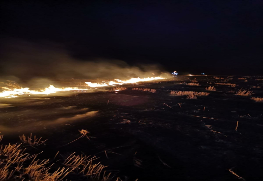 20 de hectare de miriște, în flăcări. Foc pus intenționat