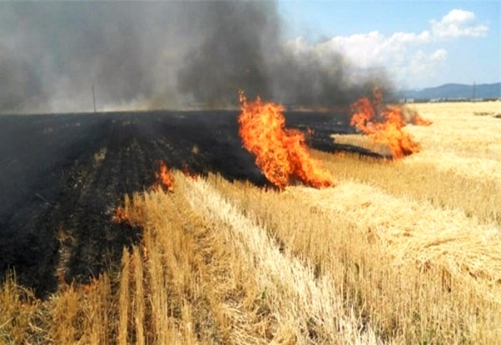 Șase hectare miriște de grâu au ars la Vlădeni. De la ce ar fi pornit focul