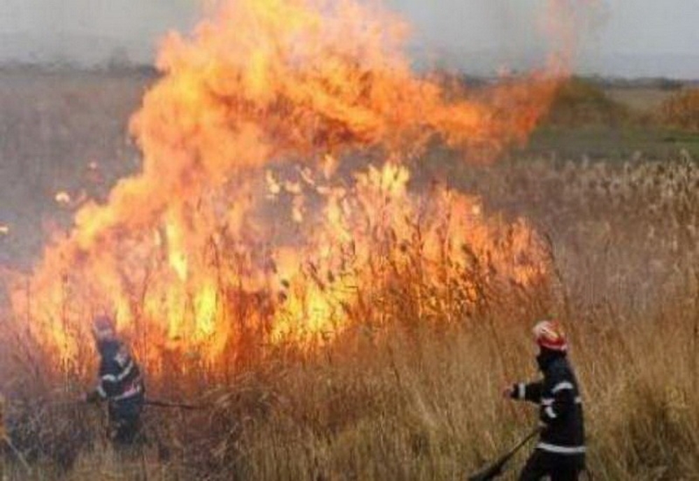 Incendiu violent de vegetaţie uscată la Poligonul Capu Midia, în urma tragerilor antiaeriene