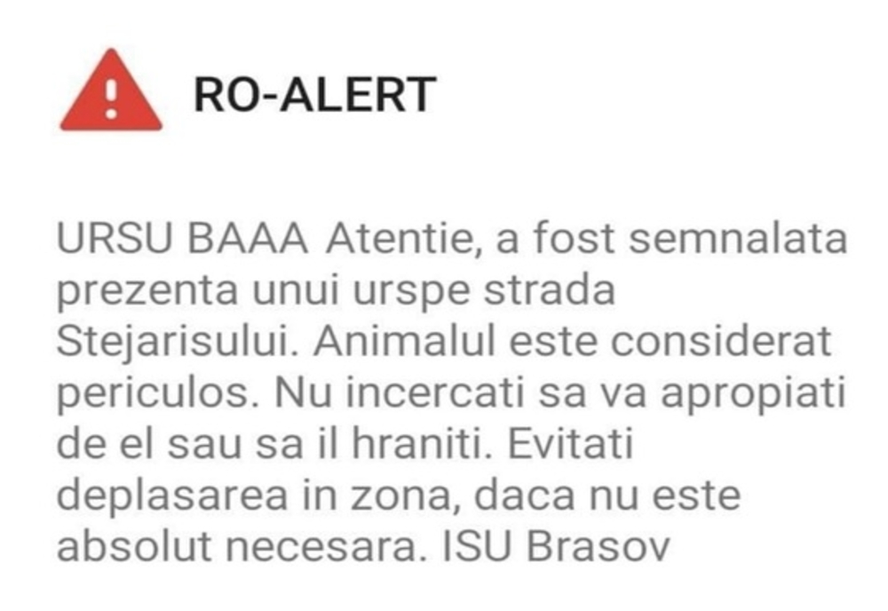 Mesajul Ro-Alert cu textul „Ursul băăă!”, primit de cetățenii din Brașov