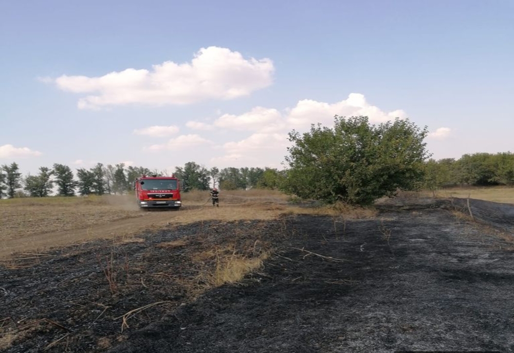 Incendiu vegetație uscată la Mihail Kogălniceanu