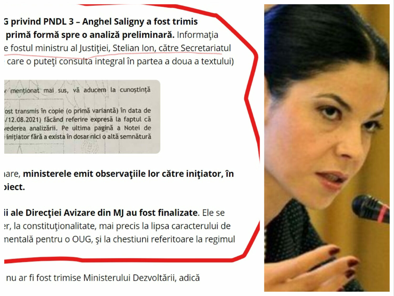 Ana Birchall a izbucnit, după apariția documentelor care îl demască pe Stelian Ion: ”Minciuna are picioare scurte”