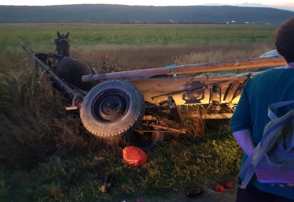 Accident mortal în Dâmbovița! Un căruțaș de 86 de ani a murit după impactul atelajului cu un autoturism