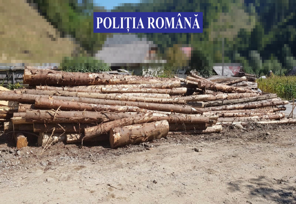 Controale pe linie silvică, în Bistrița-Năsăud! Peste 30 mc de lemn, confiscat, și amenzi de 12.000 lei