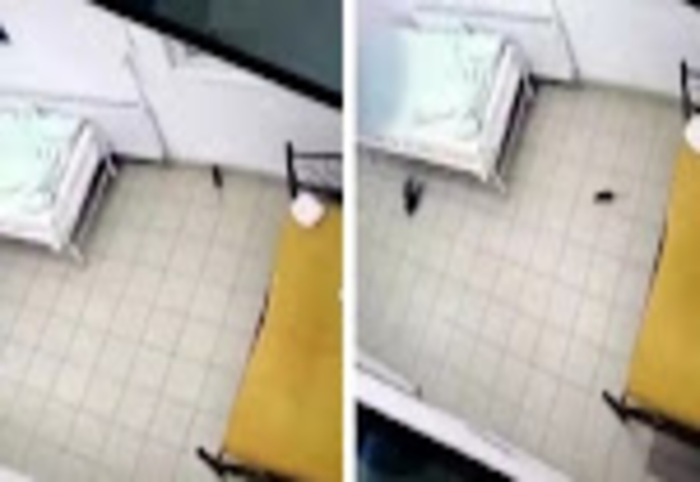 Imagini șocante într-un spital din Iași. Un șobolan, surprins printre paturile pacienților