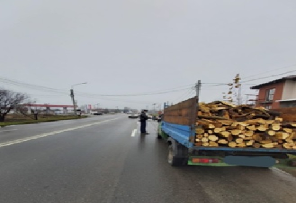 Prinși în timp ce transportau material lemnos fără acte