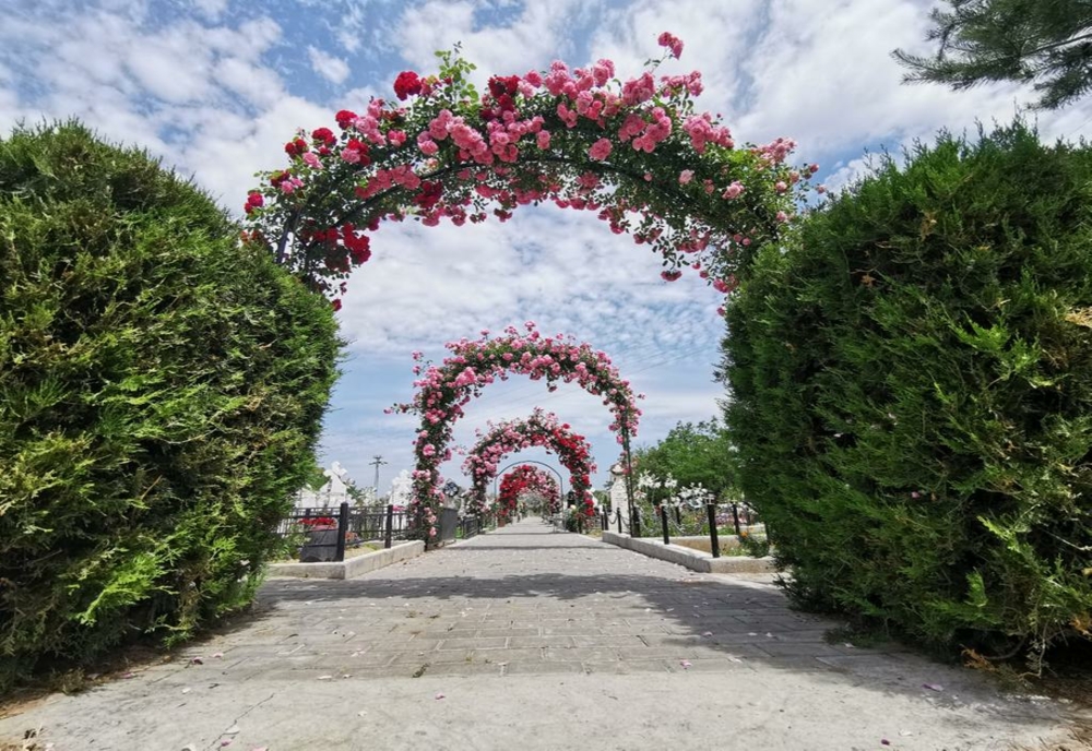 Personalități marcante înmormântate în cimitirele din Eparhia Buzăului