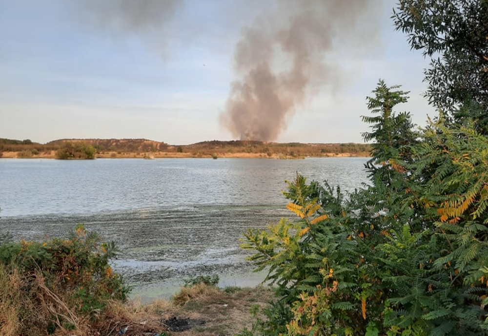 Incendiu de vegetaţie uscată, în apropiere de Slatina (VIDEO)
