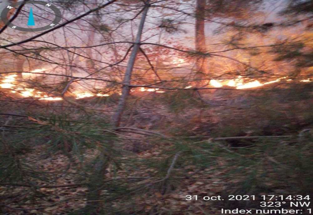 Incendiu din pădurea de la Oituz durează de cinci zile