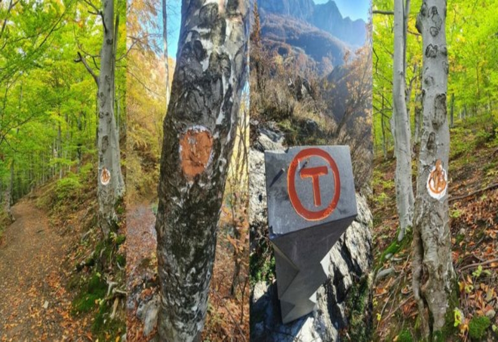 Acte de vandalism pe Via Transilvanica