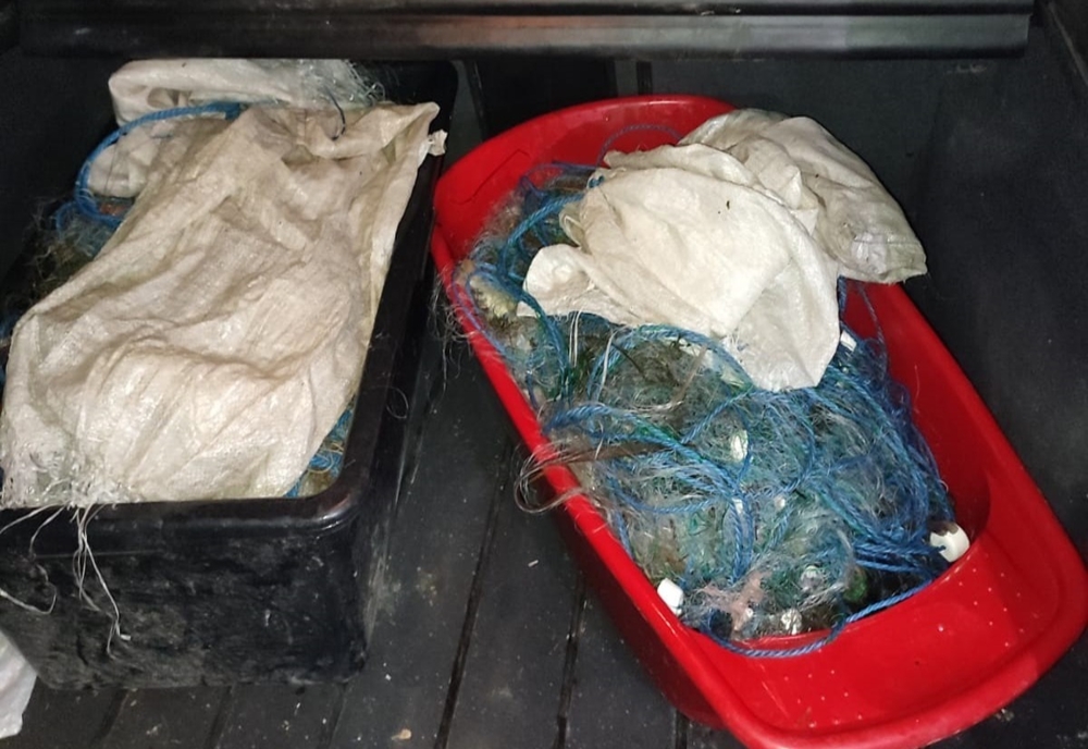 Zeci de kilograme de pește fără acte confiscate de polițiștii de frontieră 