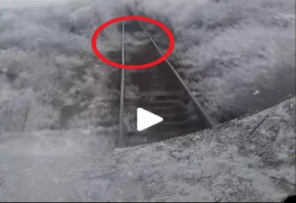 VIDEO – Ce a filmat un mecanic de tren chiar din locomotivă, în zona Aradului – Imaginile au devenit virale