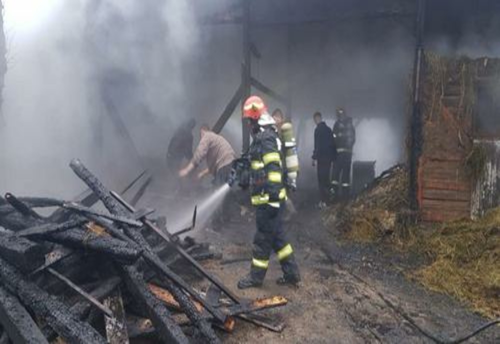 Incendii în Prahova, din cauza afumătorilor improvizate