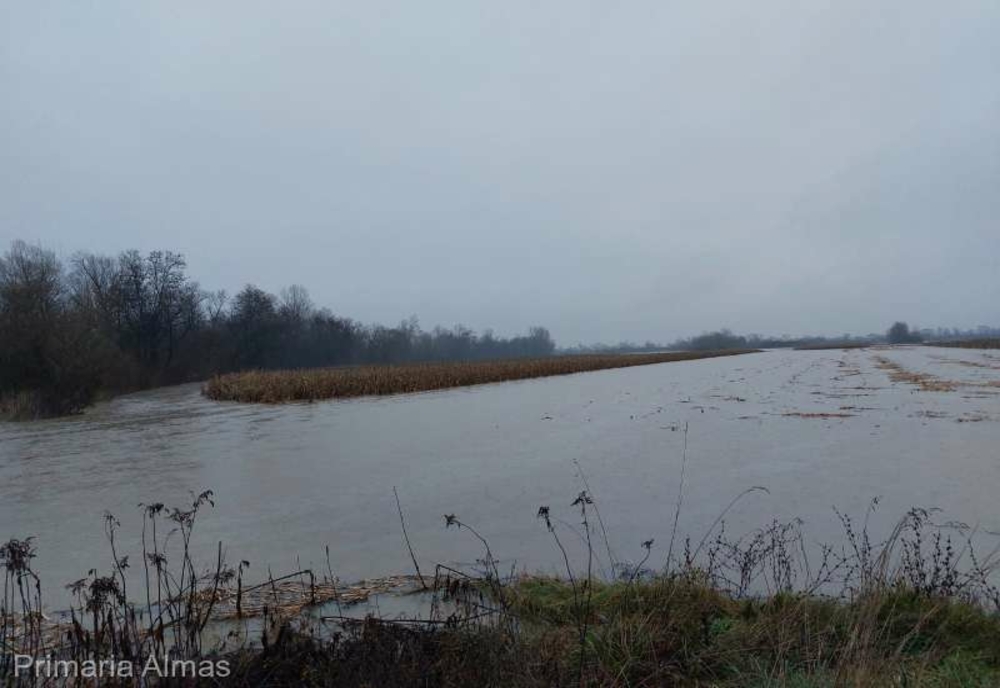 Arad: Drum judeţean închis şi sute de hectare de terenuri inundate, după revărsarea Crişului Alb