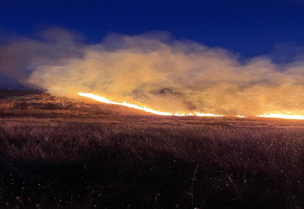 FOTO Incendiile de vegetație uscată se înmulțesc în Călărași