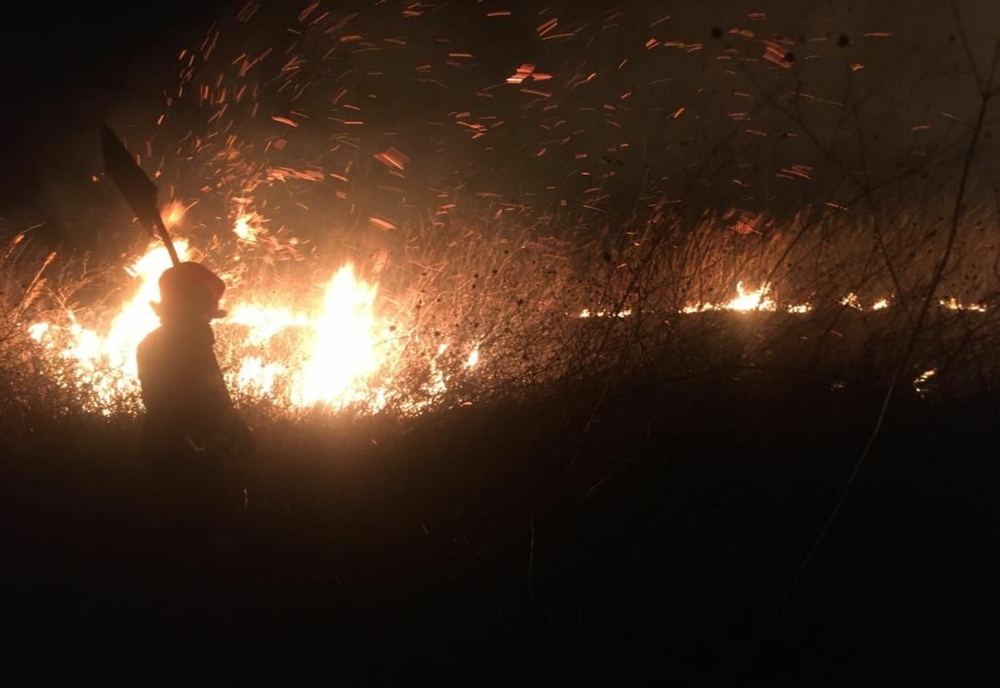 FOTO VIDEO Incendiu violent. 4 hectare de vegetație uscată făcute scrum