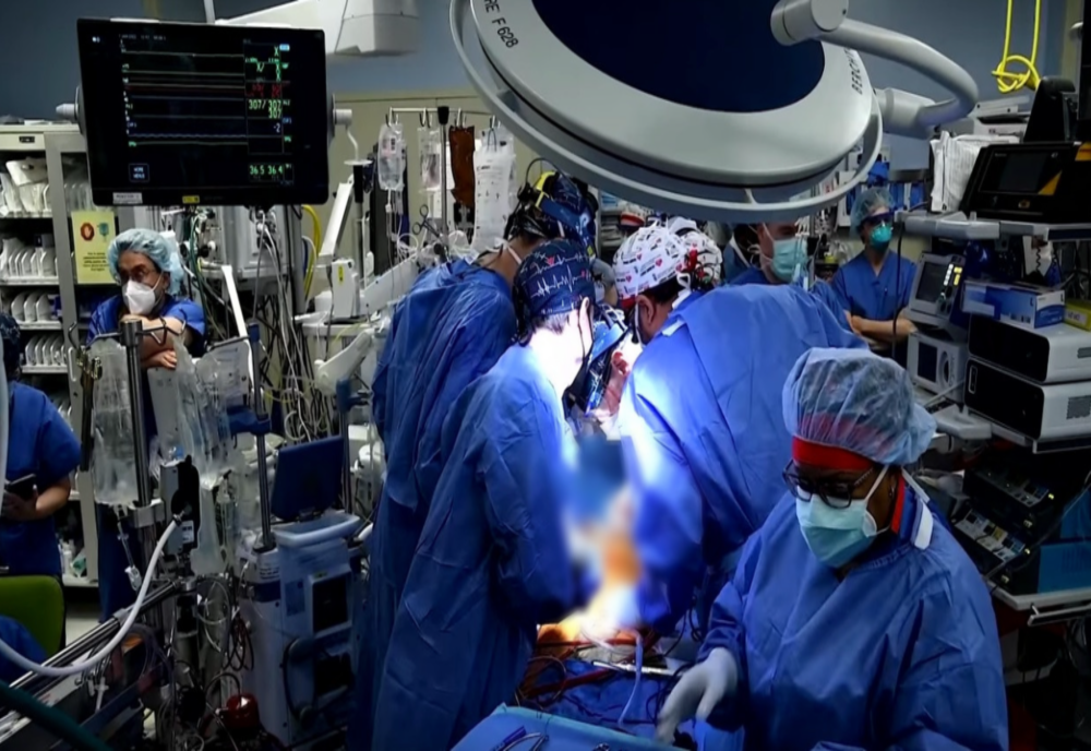 Premieră mondială în medicină – Inimă de porc, transplantată cu succes în corpul unui om