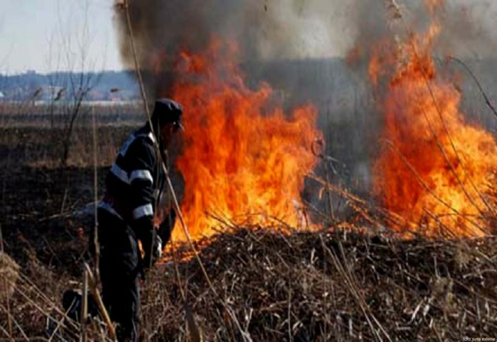 Dâmboviţa. Incendiu de vegetaţie uscată pe o suprafaţă de 25 de hectare, în zona Ludeşti