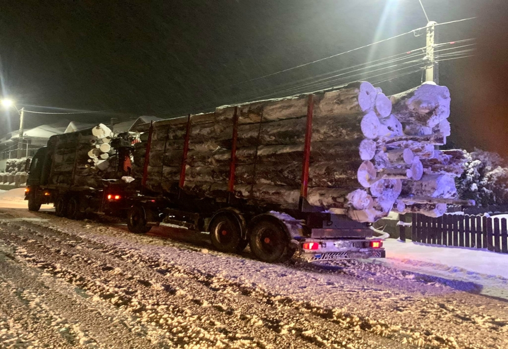 VIDEO: Aproape 40 metri cubi de lemn, confiscați de polițiști și Garda Forestieră! Autoritățile au fost sesizate de un activist de mediu