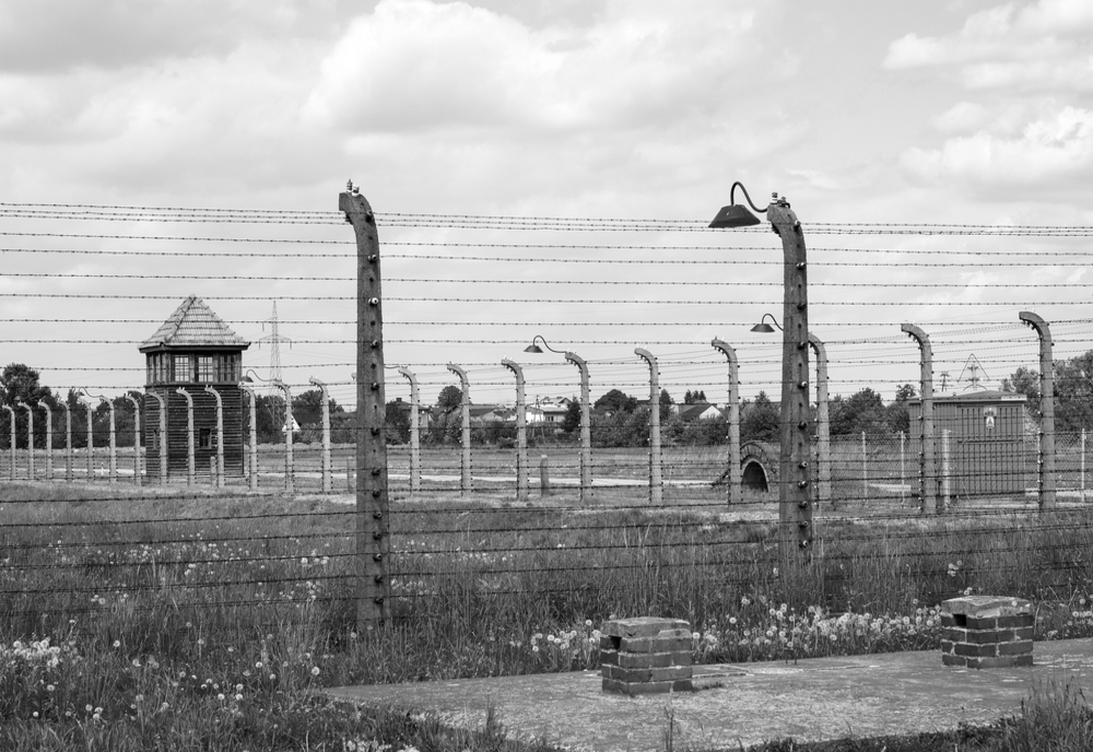 A făcut o glumă proastă și a fost arestată! O femeie a făcut un salut nazist la poarta Auschwitz