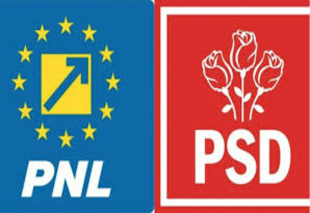 PNL versus PSD, un joc fals al disperării liberale