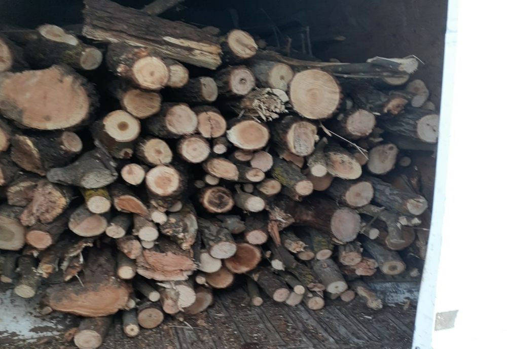 Amenzi după mai multe controale pe linia exploatării lemnului, în Valea Jiului