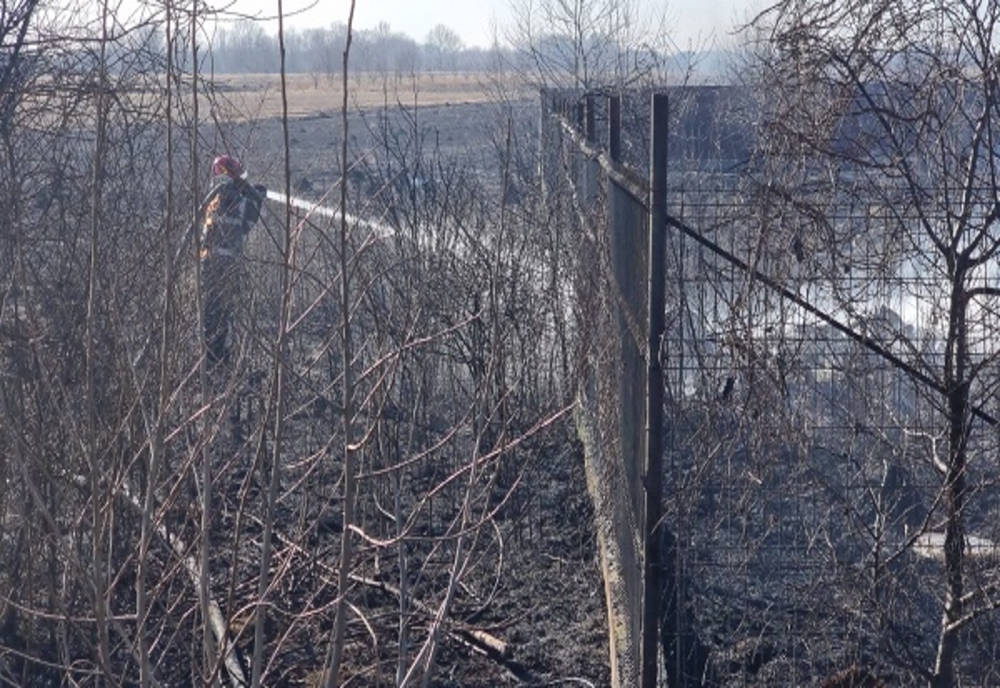 Incendiu puternic de vegetație uscată într-o comună din apropierea Târgoviștei