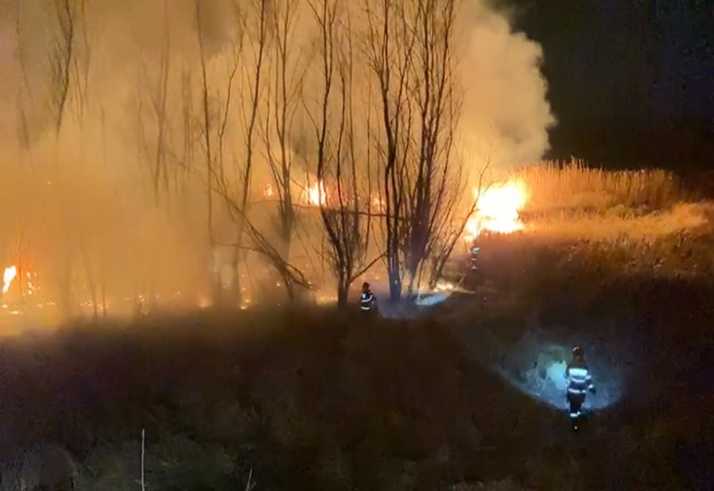 VIDEO Incendiu violent la Mahmudia. 10 ha de vegetație uscată și stuf făcute scrum