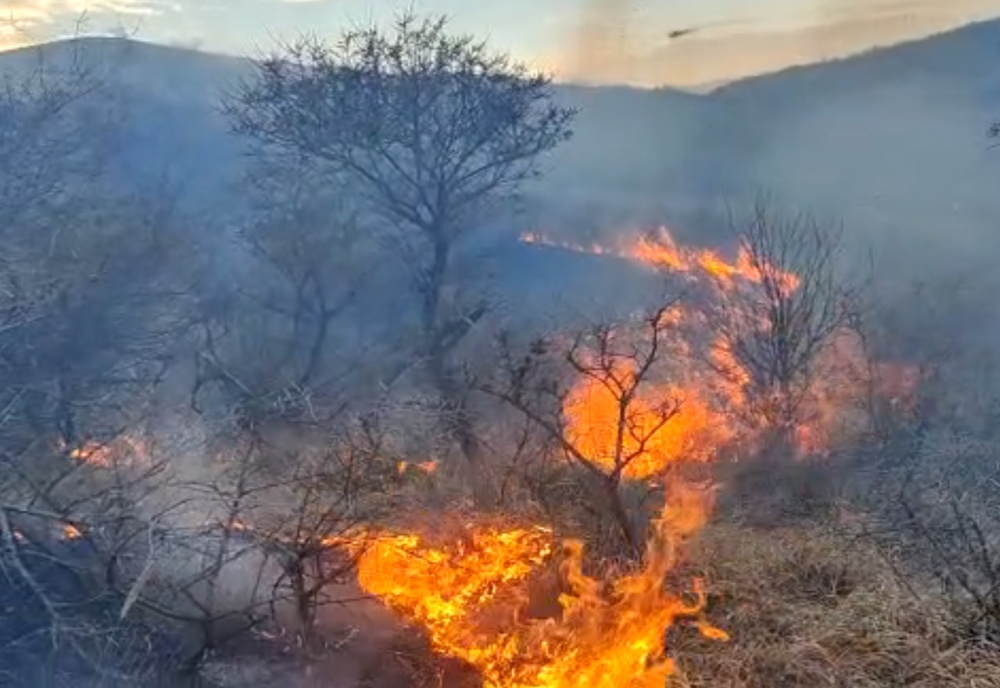 Incendii de vegetație pe raza comunelor Scorțoasa și Beceni