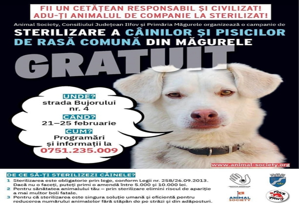Campanii de sterilizare gratuită pentru câini şi pisici în Măgurele, Clinceni și Snagov