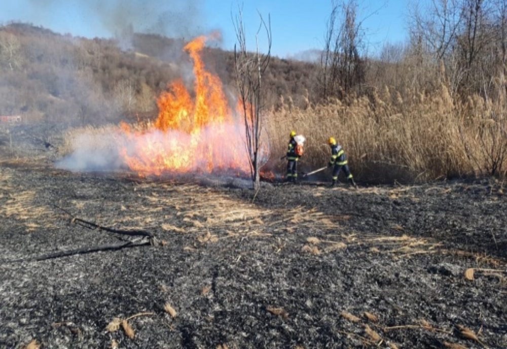 Peste 65 de incendii de vegetație uscată, săptămâna trecută, în Dâmbovița