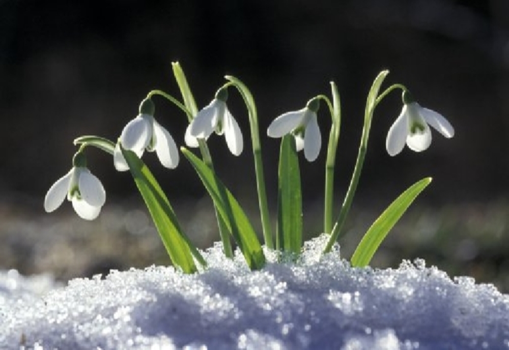 Vremea 10 februarie – Temperaturi de primăvară care ajung chiar și până la 15 grade