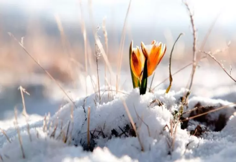 Vremea 9 februarie – Temperaturi de primăvară care ajung până la 13 grade Celsius
