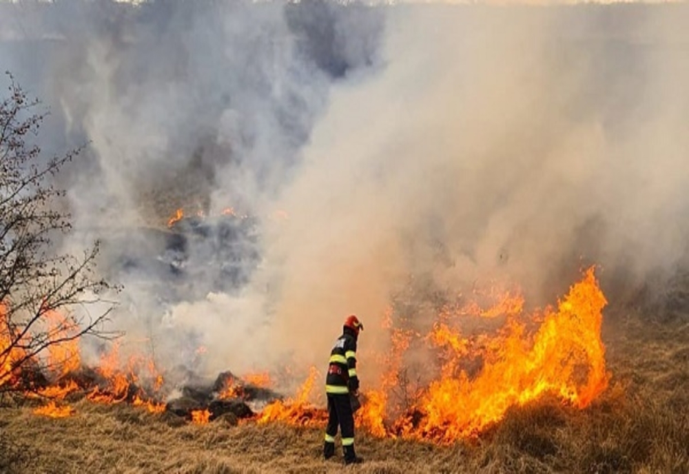 Dâmboviţa. Peste 60 de pompieri au intervenit pentru lichidarea a numeroase incendii de vegetație uscată