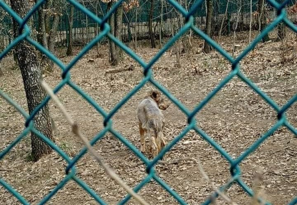 Poliția Animalelor a sancționat Grădina Zoologică din Galați