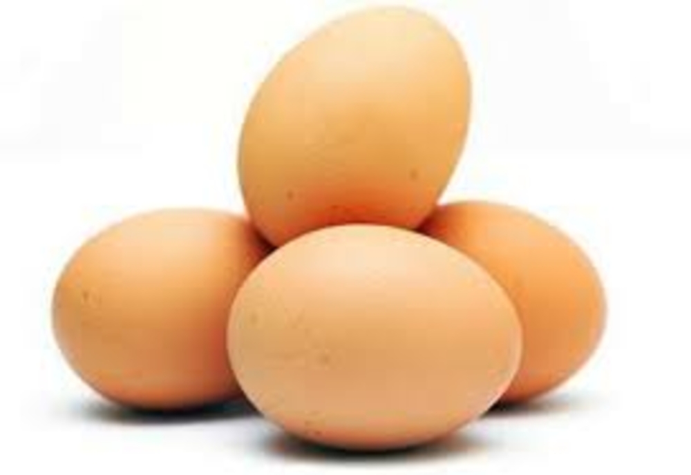 Ouă contaminate cu SALLMONELA ENTERITIDIS în fecale