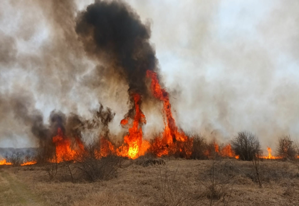 FOTO VIDEO Incendiu violent de vegetație uscată 