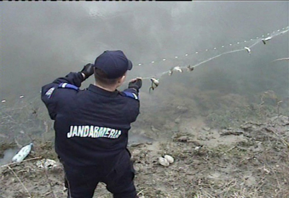 Jandarmeria Dâmbovița avertizează: Ce riscă pescarii care nu respectă legea