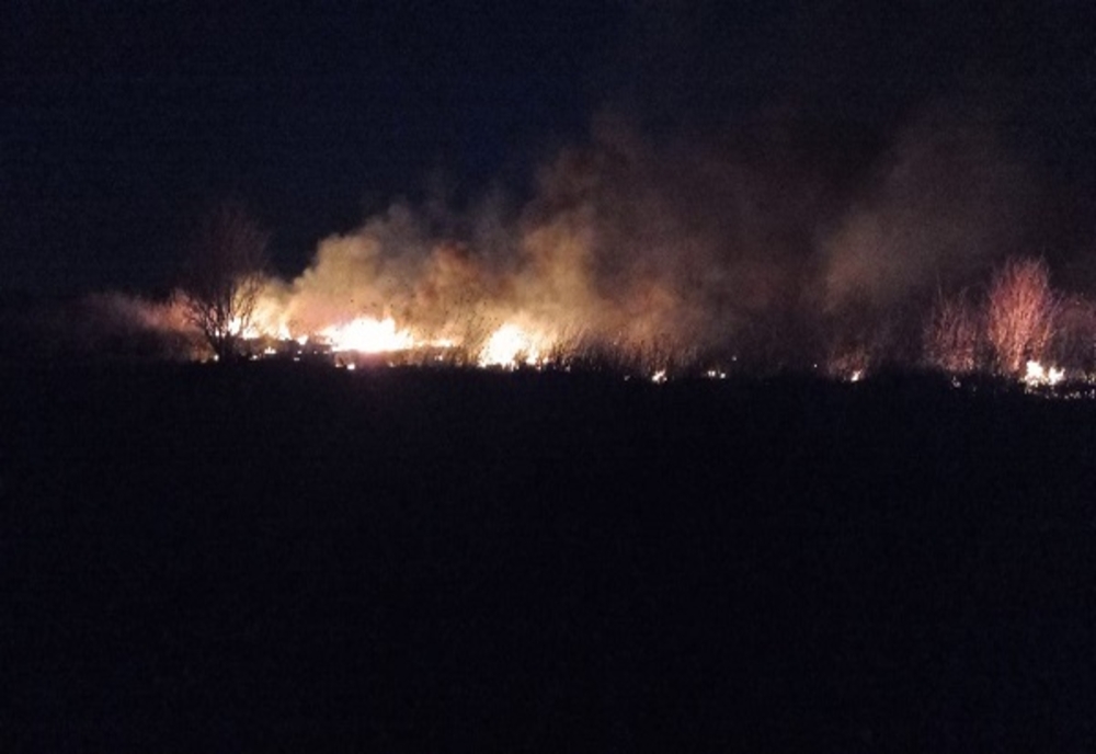 Incendiu puternic de vegetație uscată într-o comună din Dâmbovița