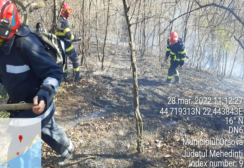 Zeci de pompieri mehedințeni au intervenit luni în zona Orșova-Ilovița, unde s- a descoperit că arde pădurea