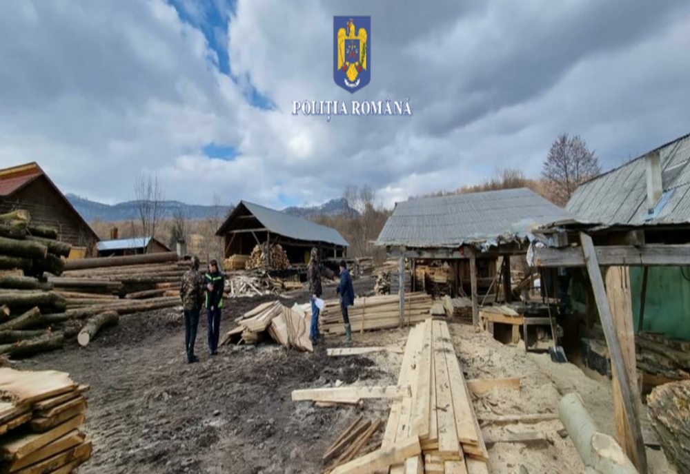 FOTO: Peste 97 mc de materiale lemnos, confiscați de polițiștii mureșeni