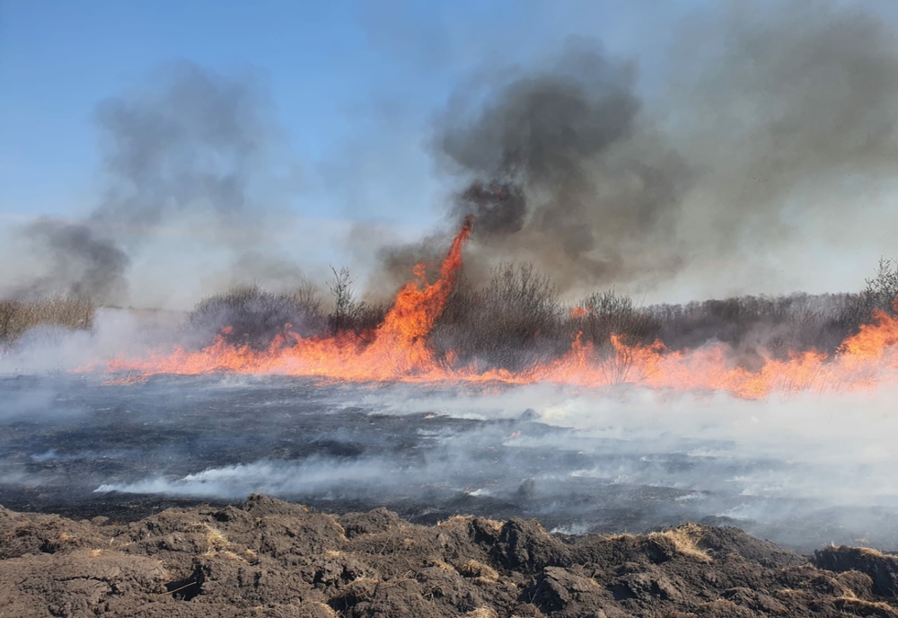 12 incendii de vegetație uscată într-o singură zi
