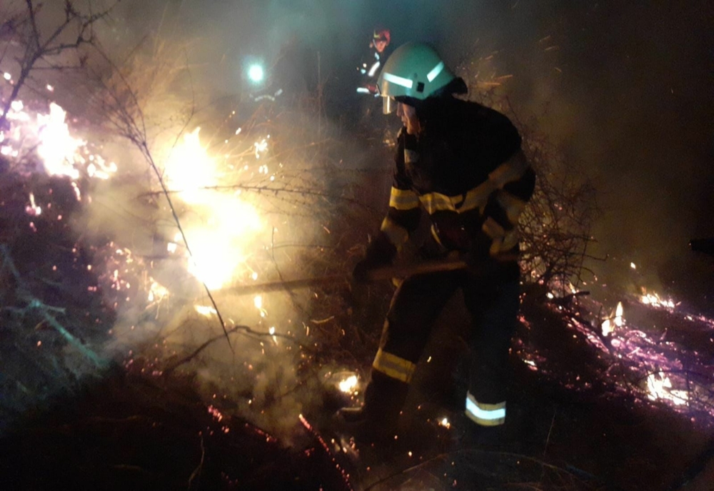 FOTO Incendiu violent la Jijila. Zeci de hectare de vegetație uscată făcute scrum