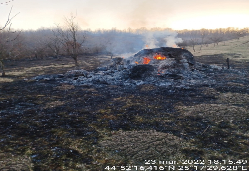 Incendiu de vegetație în Dâmboviţa. Pagubele au fost mari, anunță ISU Dâmbovița