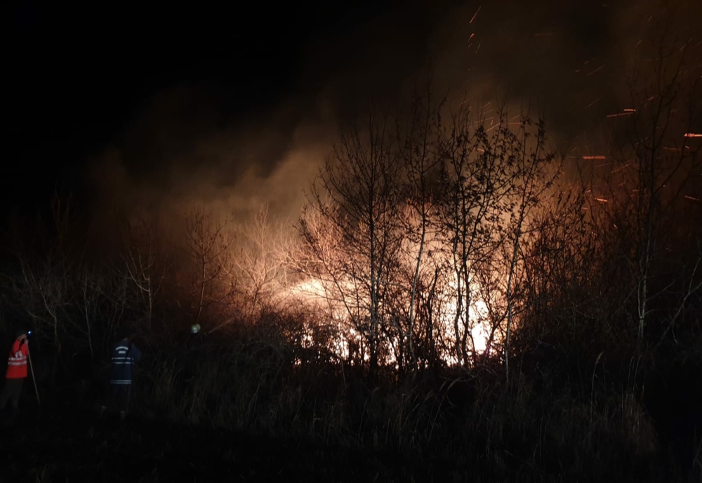 Circa 150 ha de teren cu vegetație uscată, afectate de un incendiu, în Gerăușa
