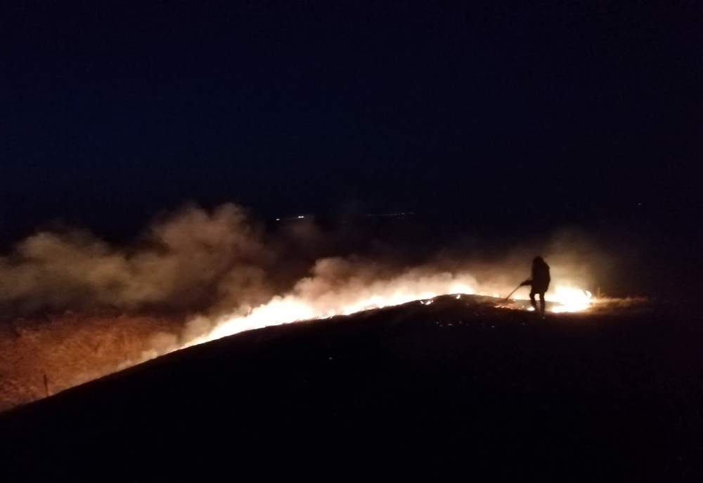Peste 100 hectare de vegetație distruse marți, în incendii