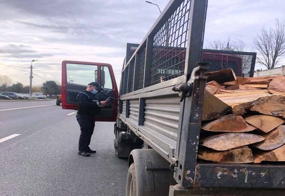 Giurgiu. Aproape 600 metri cubi de lemn, confiscaţi în urma unei razii a poliţiştilor şi Gărzii Forestiere