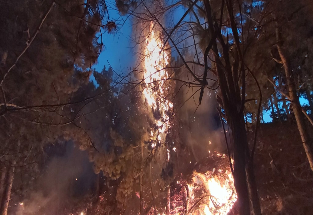 VIDEO: Filmul intervenției cu aeronave militare pentru stingerea incendiului de la Berca